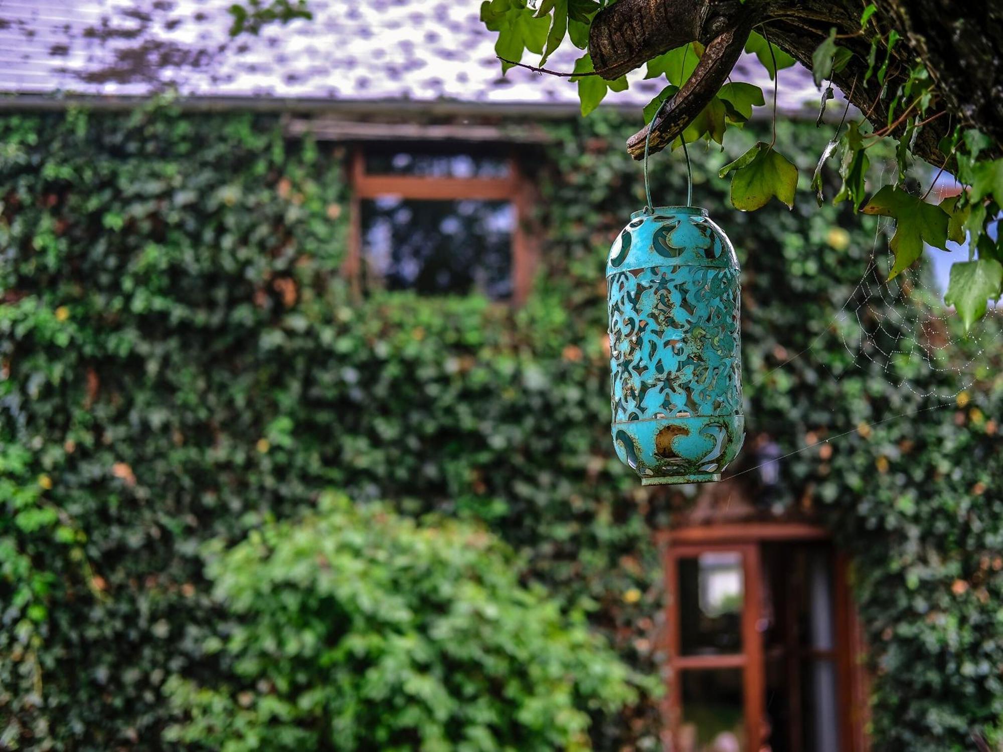 Greig House Farm Villa Llangattock Lingoed Kültér fotó